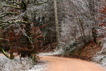 Фотография к новости: Зимней погоды в праздничные дни не будет – «Казгидромет»