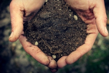 Фотография к новости: Мажилис одобрил законопроект, запрещающий иностранцам брать в аренду земли Казахстана