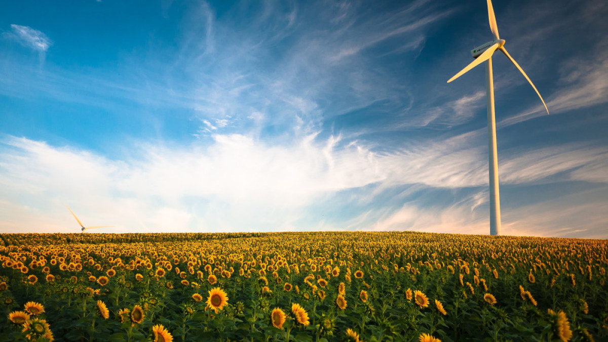 Из открытых источников