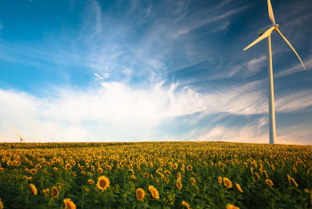 Фотография к новости: Казахстан может стать примером для остальных стран в «зеленой экономике» - эксперт