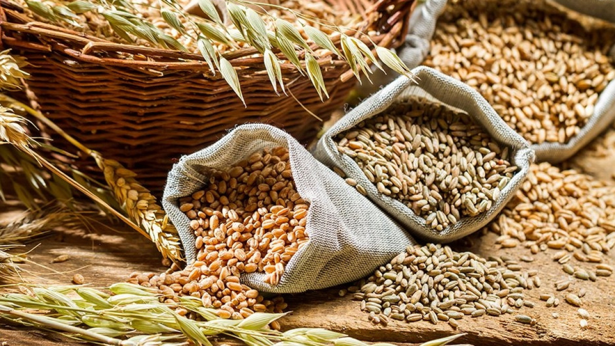 открытые источники