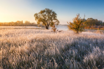 Фотография к новости: Погода без осадков ожидает казахстанцев в четверг