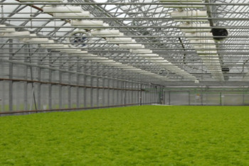 Фотография к новости: Более 600 научных достижений в сфере АПК не востребованы производством Казахстана