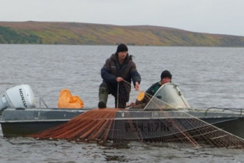 Фотография к новости: Браконьеров будут ловить на изъятых у них же лодках 
