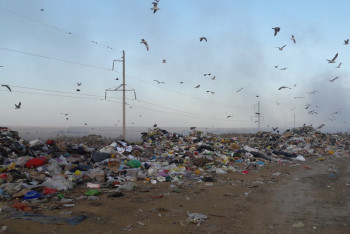 В Уральске за мусор возьмутся финские предприниматели