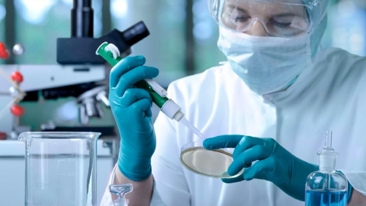 из открытых источников