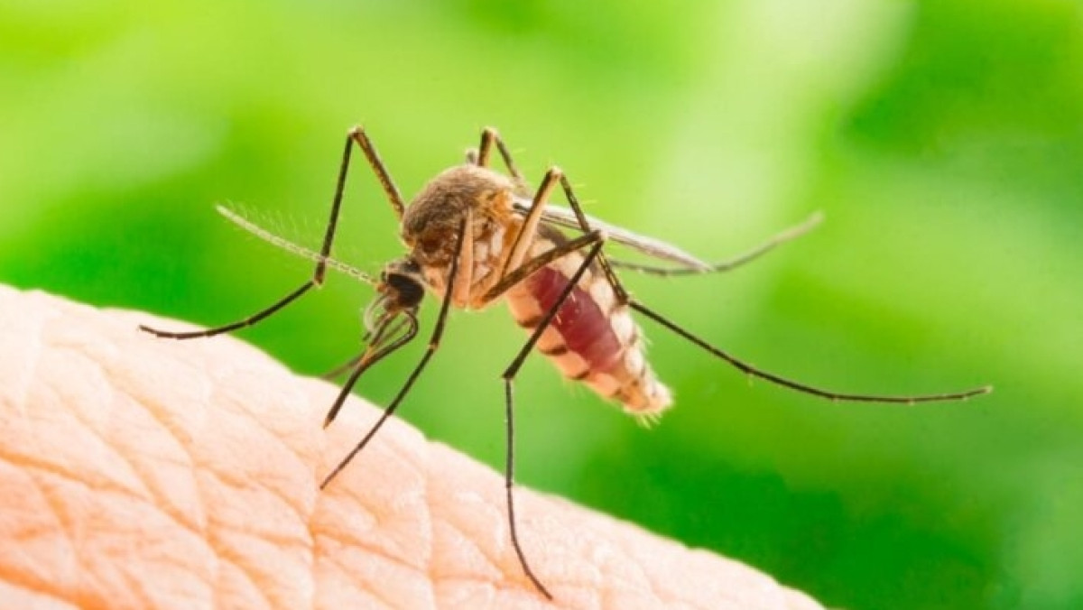 из открытых источников