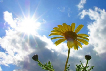 Фотография к новости: Синоптики обещают теплую погоду на 10 мая в Казахстане