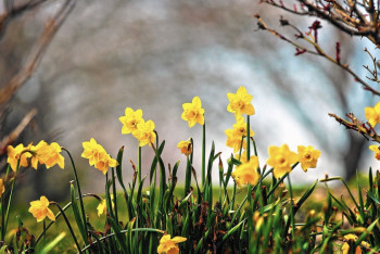 Фотография к новости: Синоптики рассказали о погоде в Казахстане 8 мая