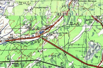 Фотография к новости: Еще одну братскую могилу времён ВОВ нашли в Новгородской области России