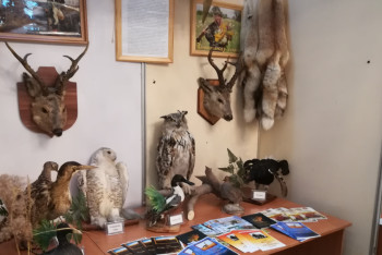 Фотография к новости: Охотой и хорошей экологией намерены привлекать интуристов костанайцы