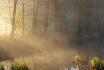 Фотография к новости: Синоптики рассказали о погоде в Казахстане 4 мая