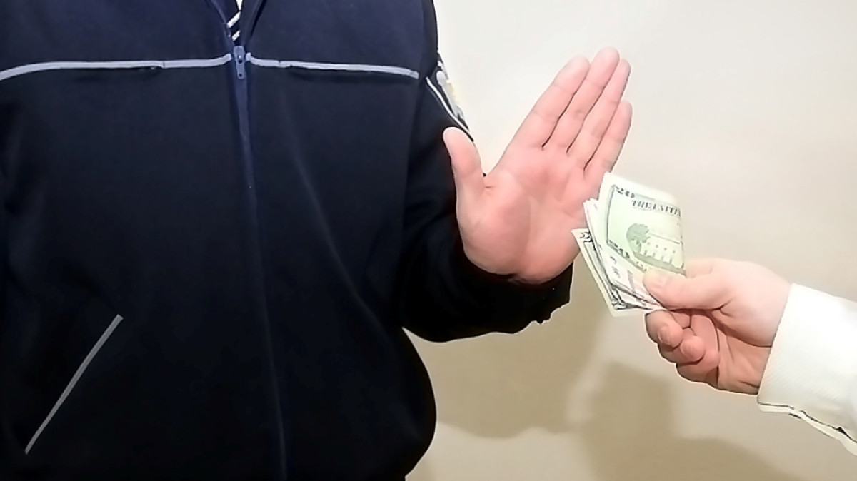 из открытых источников