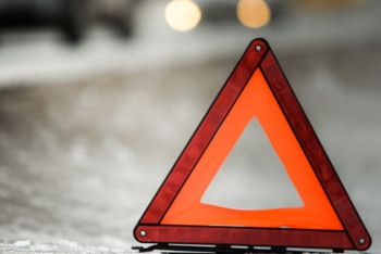 Фотография к новости: Водитель сбил 5 лошадей на трассе в Акмолинской области 