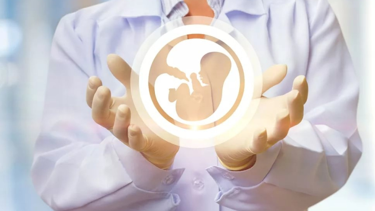 открытые источники