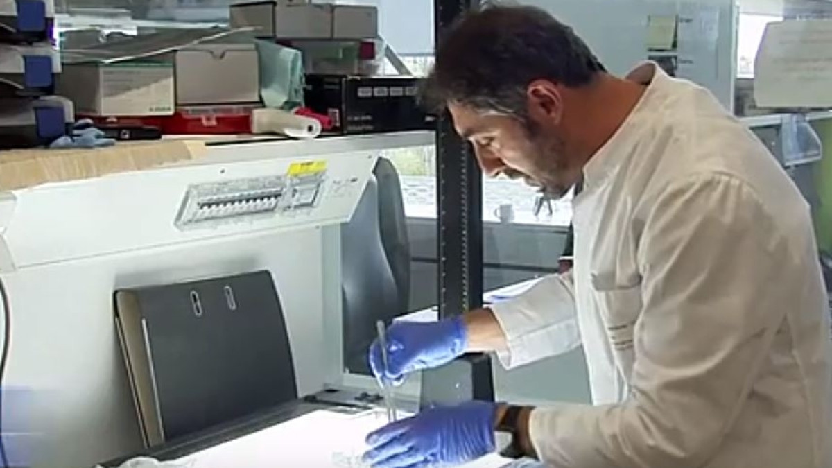 Скриншот с видео