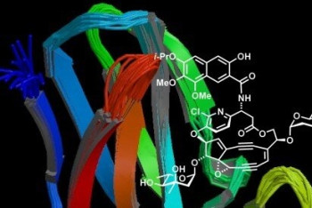 Фотография к новости: Впервые в мире создан противораковый антибиотик