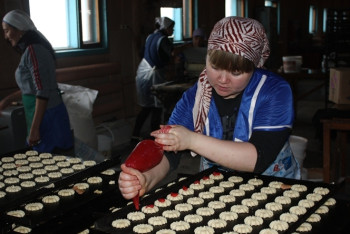 Более 140 новых объектов малого бизнеса откроют в СКО