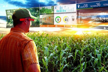 Фотография к новости: Цифровизация АПК: Первые итоги подвели в Акмолинской области