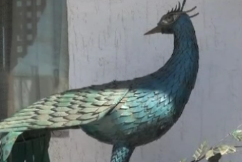 Нефтяник из Жанаозена создаёт шедевры из мусора