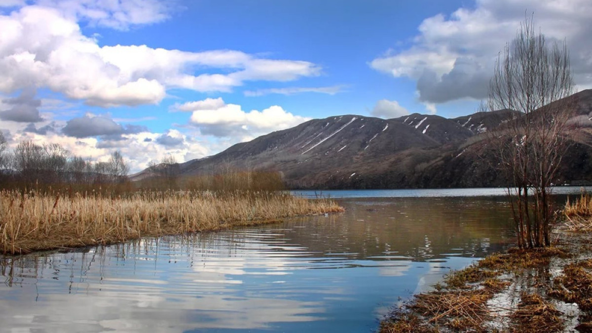 из открытых источников 