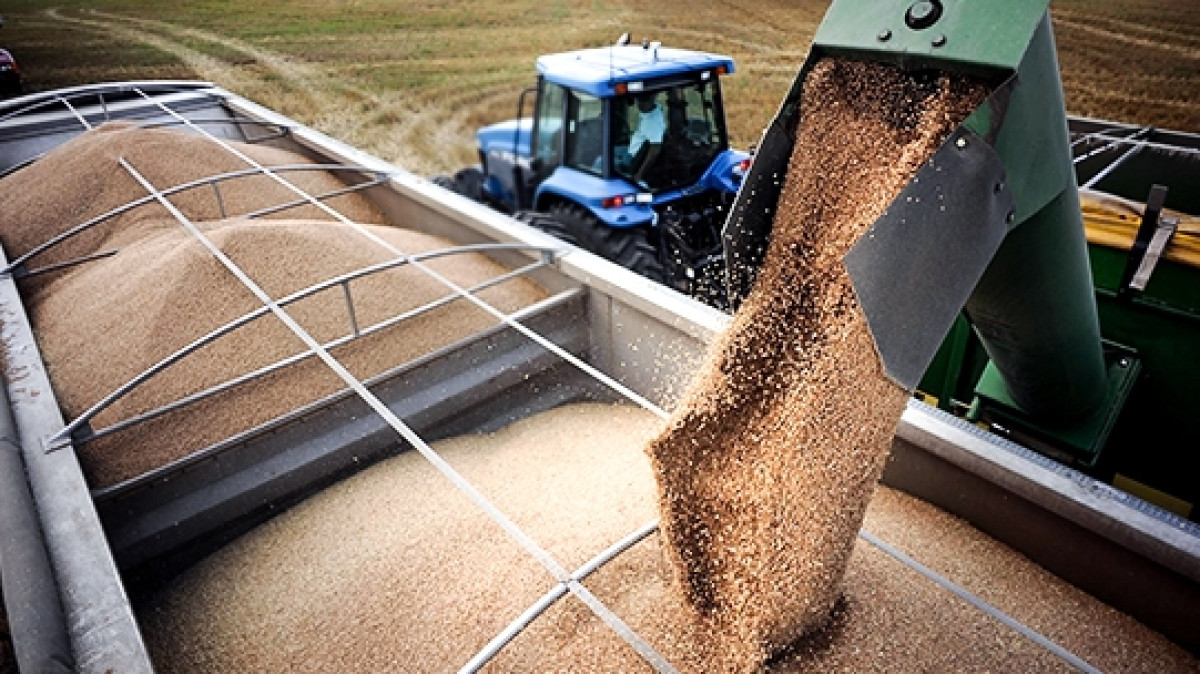 из открытых источников 