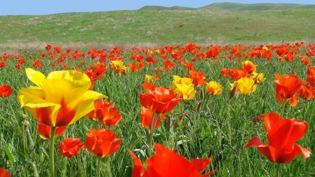 МИА &quot;КазИнформ&quot;