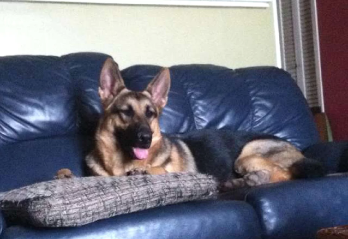  Из личного архива Криса Чимино