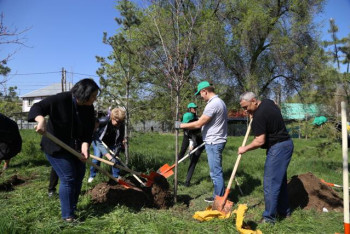 Фотография к новости: В Алматы за день высадили почти семь тысяч деревьев