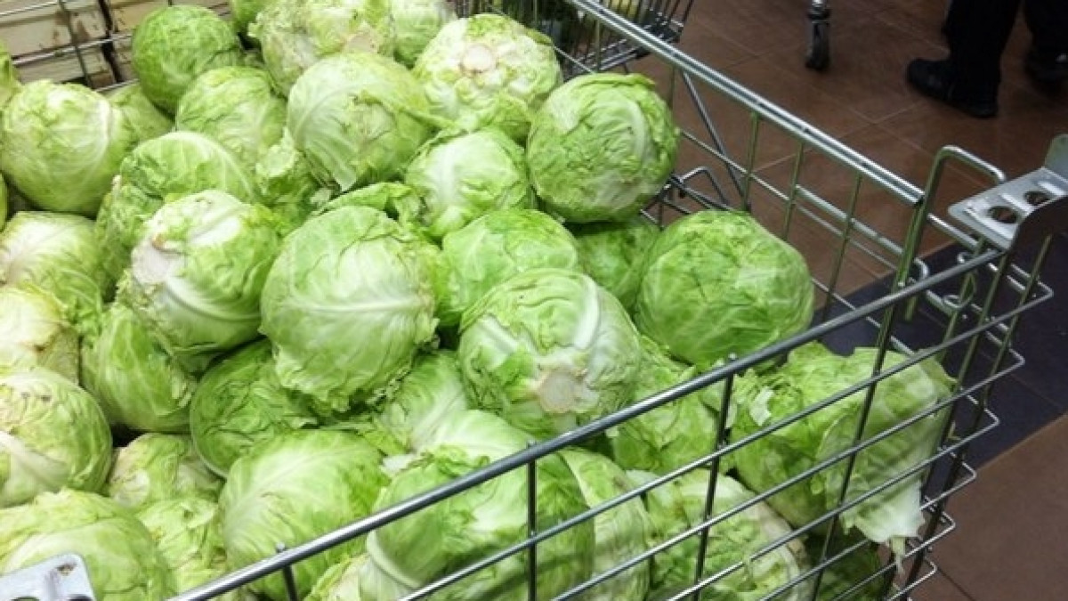 из открытых источников