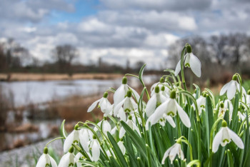 Фотография к новости: Синоптики рассказали о погоде в Казахстане 9 апреля