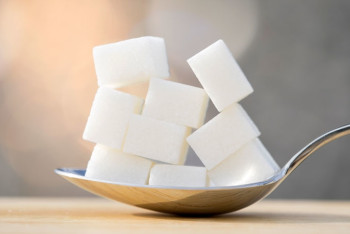 Фотография к новости: Карабулакский сахарный завод реконструируют в Алматинской области 