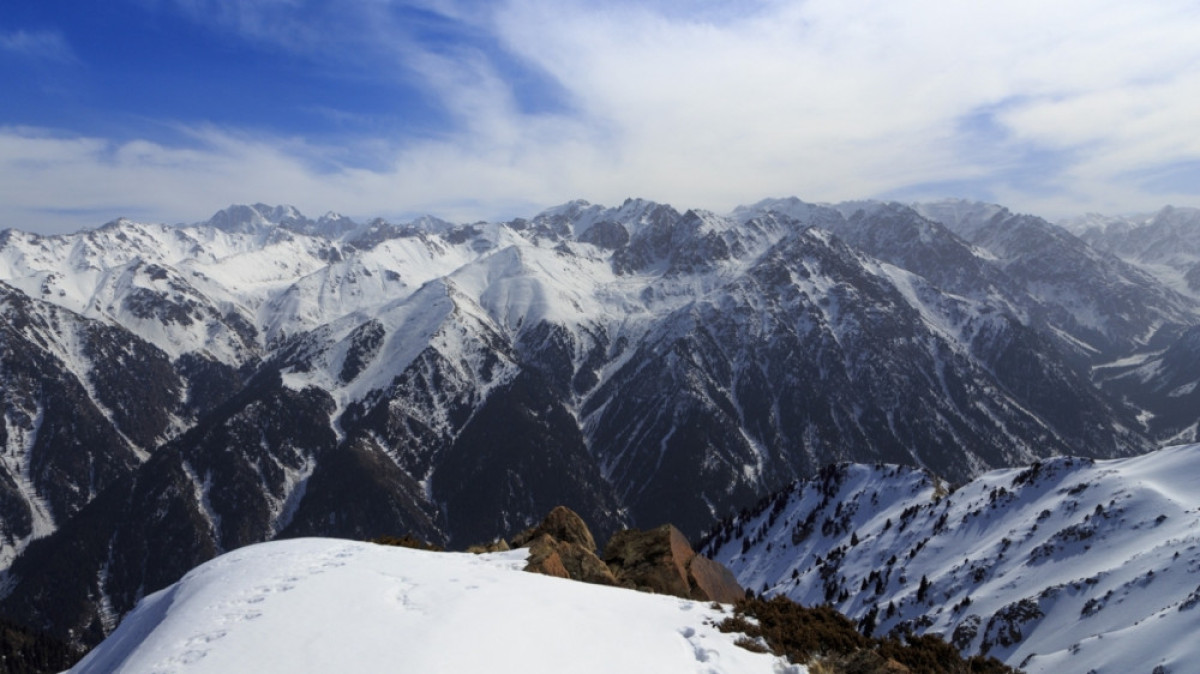 из открытых источников 