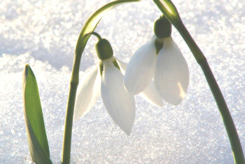 Фотография к новости: Синоптики прогнозируют понижение температуры в выходные 