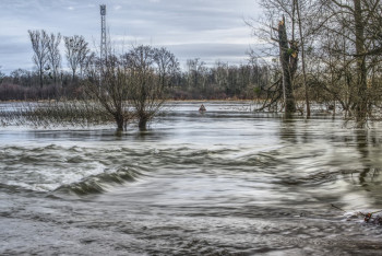 Фотография к новости: Подъём уровня воды в реках прогнозируют в ряде регионов Казахстана 