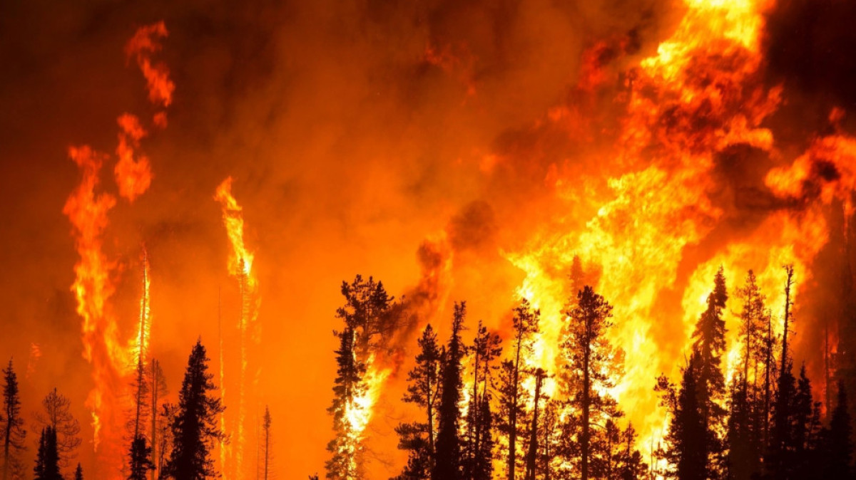 открытые источники