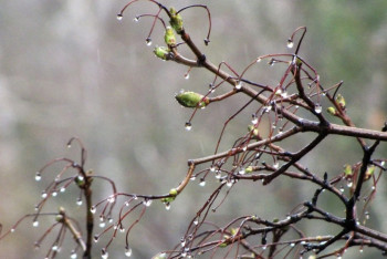 Фотография к новости: Синоптики рассказали о погоде в Казахстане 5 апреля