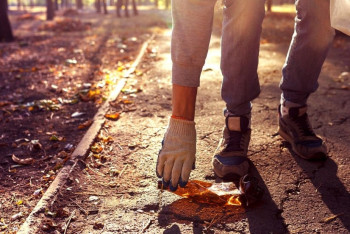 Фотография к новости: Сбор мусора и бег: в столице проведут экологическую акцию 