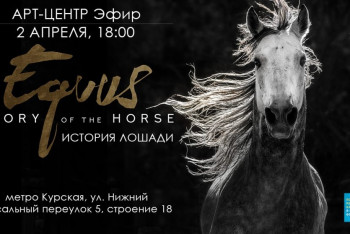 Фотография к новости: Показ второй части документальной трилогии "Equus: История Лошади" состоялся в Москве