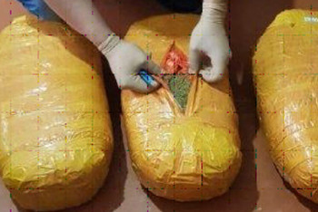 Фотография к новости: КНБ пресек поставку каннабисных наркотиков из южных регионов в Павлодарскую область