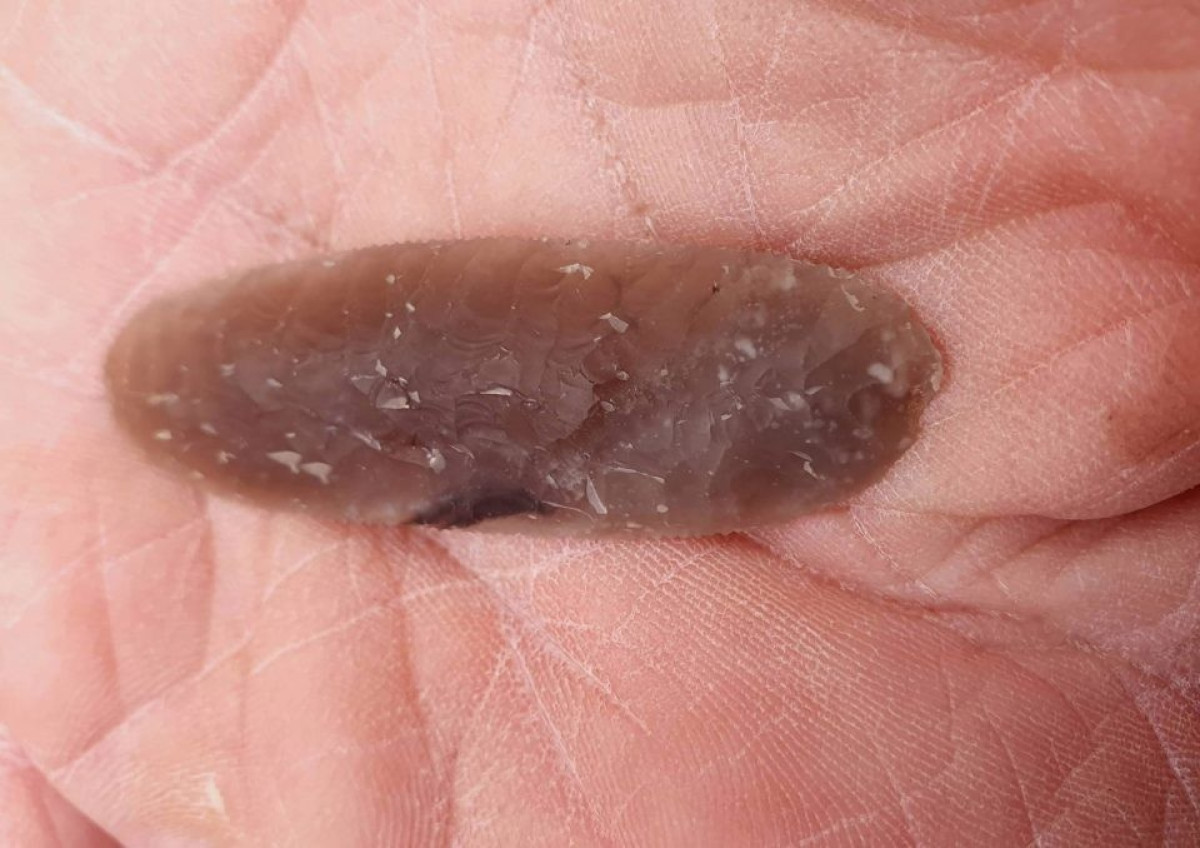  North News and Pictures