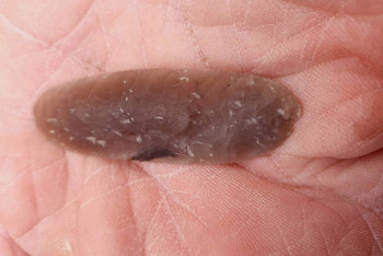 Фотография к новости: В Англии нашли "айфон бронзового века"