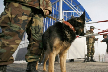 Фотография к новости: Кыргызстанца с поддельным паспортом задержали казахстанские пограничники