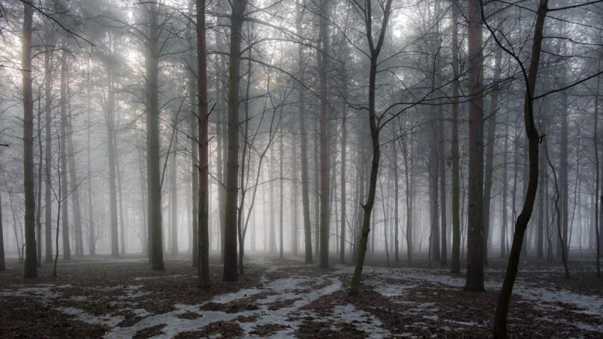 из открытых источников