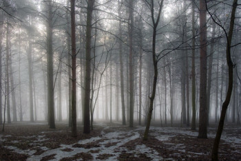 Фотография к новости: Синоптики рассказали о погоде в Казахстане 30 марта