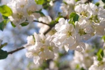 Фотография к новости: Синоптики прогнозируют быструю смену погоды на выходные 