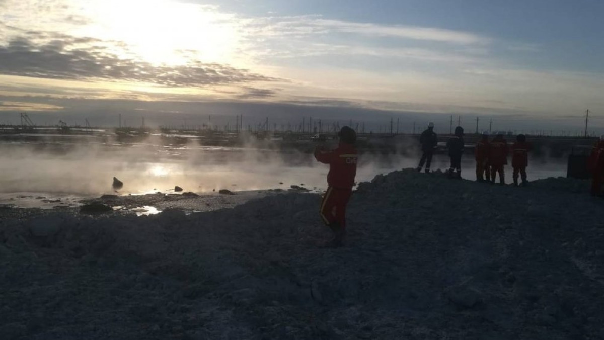 из открытых источников 