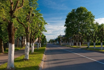 Фотография к новости: Более 700 деревьев высадят в Алматы на проспекте аль-Фараби