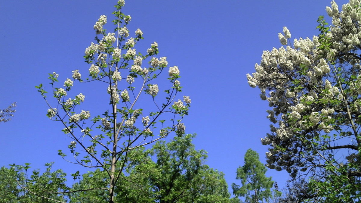 из открытых источников