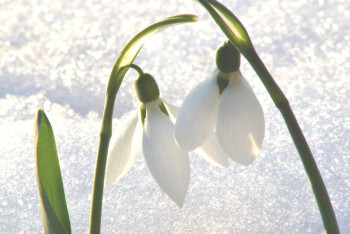Фотография к новости: Погоду с осадками прогнозируют синоптики в праздничные выходные в Казахстане 